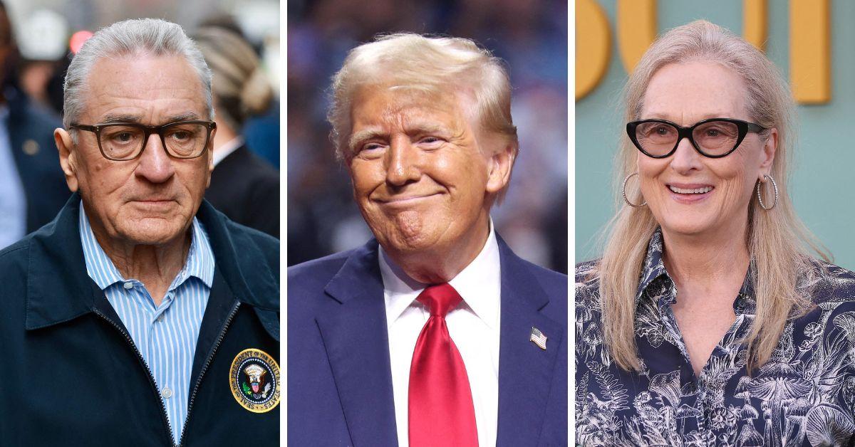 Trump's Star Wars! The Army of Celebrities Who Have Publicly Battled It Out With 'The Don' — From De Niro to Meryl Streep and Anna Wintour